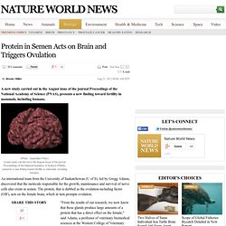 Protein in Semen Acts on Brain and Triggers Ovulation : biology : NatureWorldNews