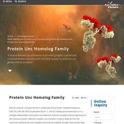 Protein Unc Homolog Family