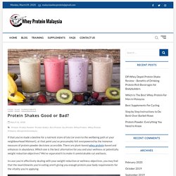 Protein Shakes Good or Bad? - WheyProteinMalaysia.com