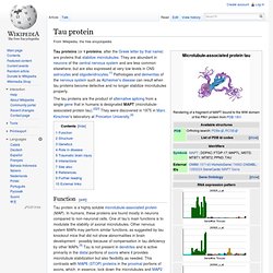 Tau protein