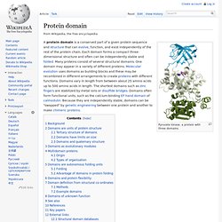 Protein domain