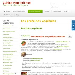 Protéines végétales,legumineuses,cereales,proteines vegetales,soja,tofu