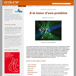 Protéines à la Une : "À la lueur d'une protéine" par Séverine Altairac
