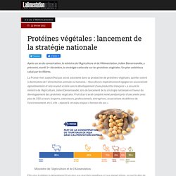 Protéines végétales : lancement de la stratégie nationale