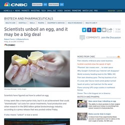 Proteins and research: Scientists figure out to unboil an egg