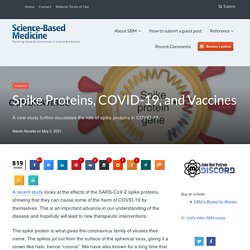 Spike Proteins, COVID-19, and Vaccines