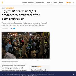 Egypt: More than 1,100 protesters arrested after demonstration