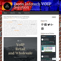 Select The Best Provider for your VoIP Switch « Ikcon Infotech VOIP Solution