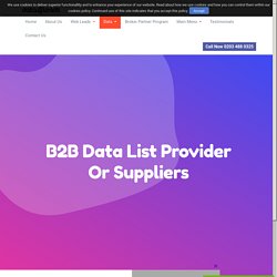 B2B Data Lists