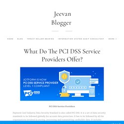 What do the PCI DSS service providers offer?