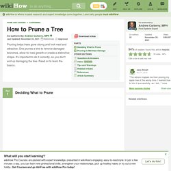 How to Prune a Tree: 13 Steps (with Pictures)