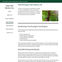 Tree Pruning Services for San Marcos, CA, Residents