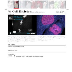 PS/ Cell Division