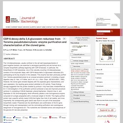 CDP-6-deoxy-delta 3,4-glucoseen reductase from Yersinia pseudotuberculosis: enzyme purification and characterization of the cloned gene.