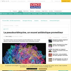La pseudouridimycine, un nouvel antibiotique prometteur - Sciencesetavenir.fr