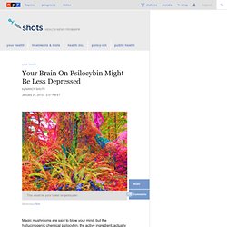 Your Brain On Psilocybin Might Be Less Depressed : Shots - Health Blog