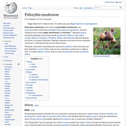 Psilocybin mushroom