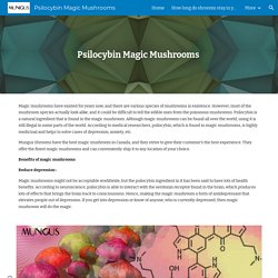 Psilocybin Magic Mushrooms - Psilocybin Magic Mushrooms