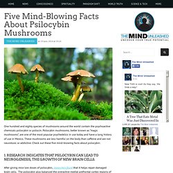 Five Mind-Blowing Facts About Psilocybin Mushrooms