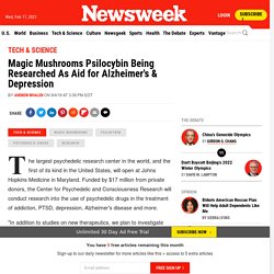 Magic Mushrooms Psilocybin Being Researched As Aid for Alzheimer's & Depression