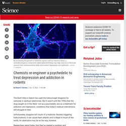 Chemists re-engineer a psychedelic to treat depression and addiction in rodents