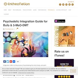 Psychedelic Integration Guide for Bufo & 5-MeO-DMT