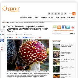 Do You Believe in Magic? Psychedelic Mushrooms Shown to Have Lasting Health Effects