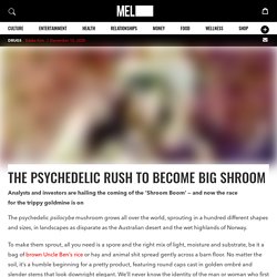 The Psychedelic Rush to Become Big Shroom