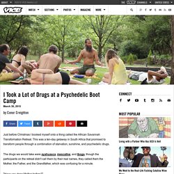 I Took a Lot of Drugs at a Psychedelic Boot Camp