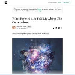 What Psychedelics Told Me About The Coronavirus - Azrya Cohen Bequer - Medium