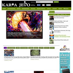 Karma Jello - Cannabis, Psychedelics, Comedians, Astronomy, Philosophy, Photography, Art, MMA