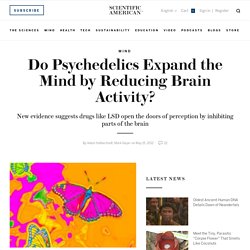 Do Psychedelics Expand the Mind by Reducing Brain Activity?