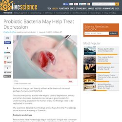 Probiotic Bacteria May Help Treat Depression