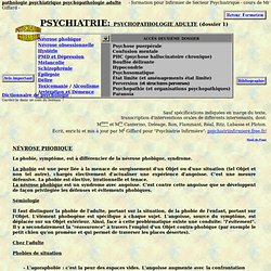 infirmiere formation infirmier pathologie psychiatrie adulte maladie psychiatrique - Aurora