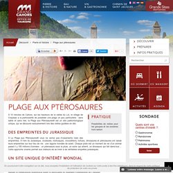 Office de Tourisme du Grand Cahors - Vacances Lot Sud Ouest France, Grands Sites Midi-Pyrénées