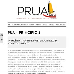 PUA - Principio 3 - PRUA