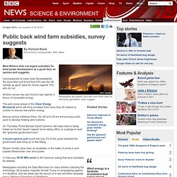 Public back wind farm subsidies, survey suggests