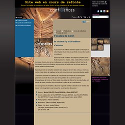 Fossiles de Cerin - Publications