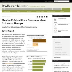 Muslim Publics Share Concerns about Extremist Groups