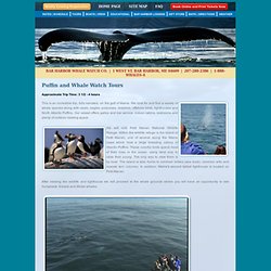 Puffin and Whale Watch Tours