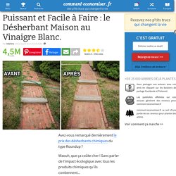 Puissant et Facile à Faire : le Désherbant Maison au Vinaigre Blanc.