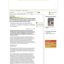 LE PAYSAN BRETON 22/03/02 STRONGLES DIGESTIFS ET PULMONAIRES AU PÂTURAGE : Comprendre les mécanismes de contamination pour mieux