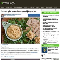 Pumpkin spice cream cheese spread [Vegetarian]