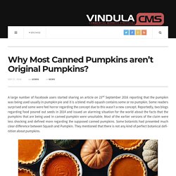 Why Most Canned Pumpkins aren’t Original Pumpkins?