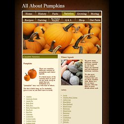All About Pumpkins - Pumpkin Varieties