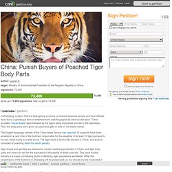 China: Punish Buyers of Poached Tiger Body Parts