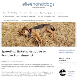 Speeding Tickets: Negative or Positive Punishment? - eileenanddogs