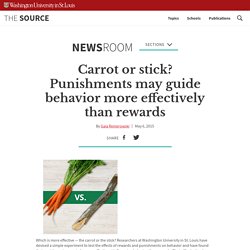 Carrot or stick? Punishments may guide behavior more effectively than rewards