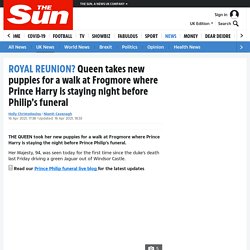 Queen takes new puppies for a walk at Frogmore where Prince Harry is staying night before Philip’s funeral
