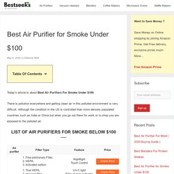 Best Air Purifier for Smoke Under $100 - Bestseeks